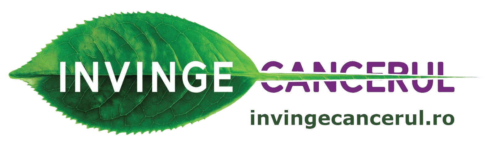 Logo InvingeCancerul